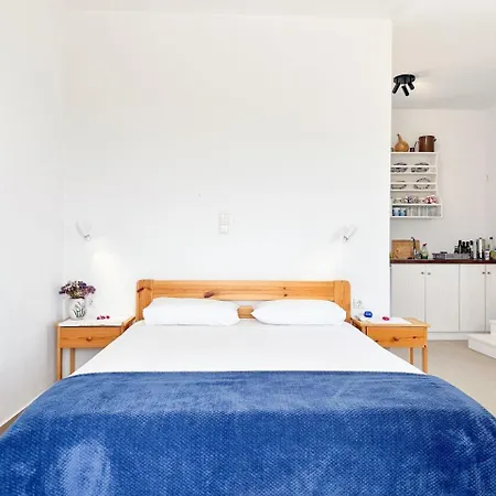 Στούντιο Σκοπελίτης 3 * Donousa